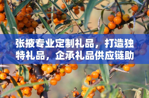 张掖专业定制礼品，打造独特礼品，企承礼品供应链助力商务推广