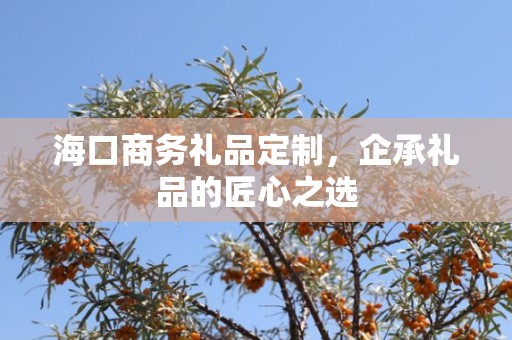海口商务礼品定制，企承礼品的匠心之选