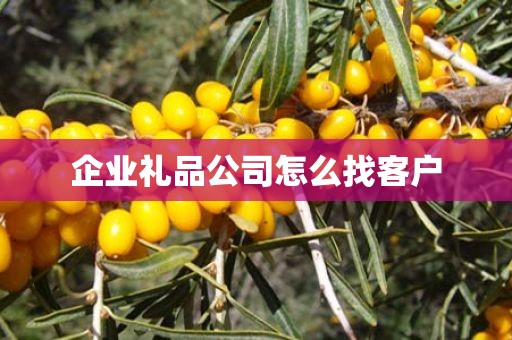 企业礼品公司怎么找客户