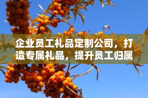 企业员工礼品定制公司，打造专属礼品，提升员工归属感