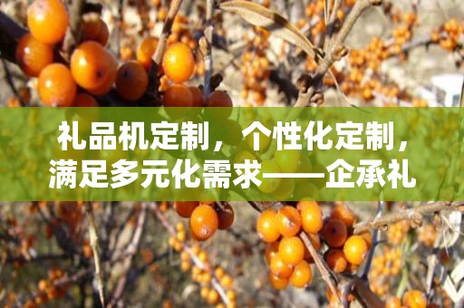 礼品机定制，个性化定制，满足多元化需求——企承礼品供应链公司专业解决方案